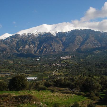 Aposeti Villas Petrochori  Bagian luar foto
